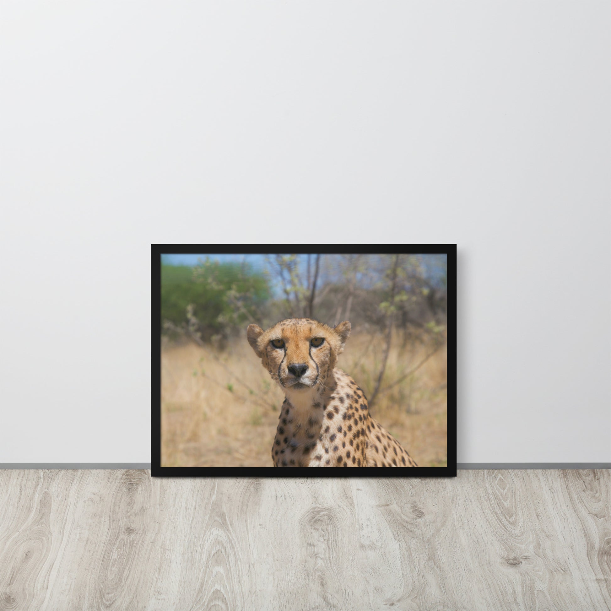 Leopard -- High Quality -- Framed on photo paper