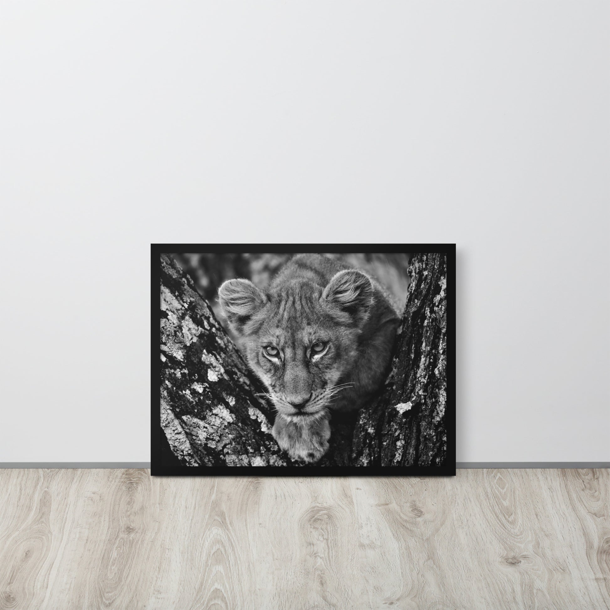 Lioness -- High Quality -- Framed on photo paper