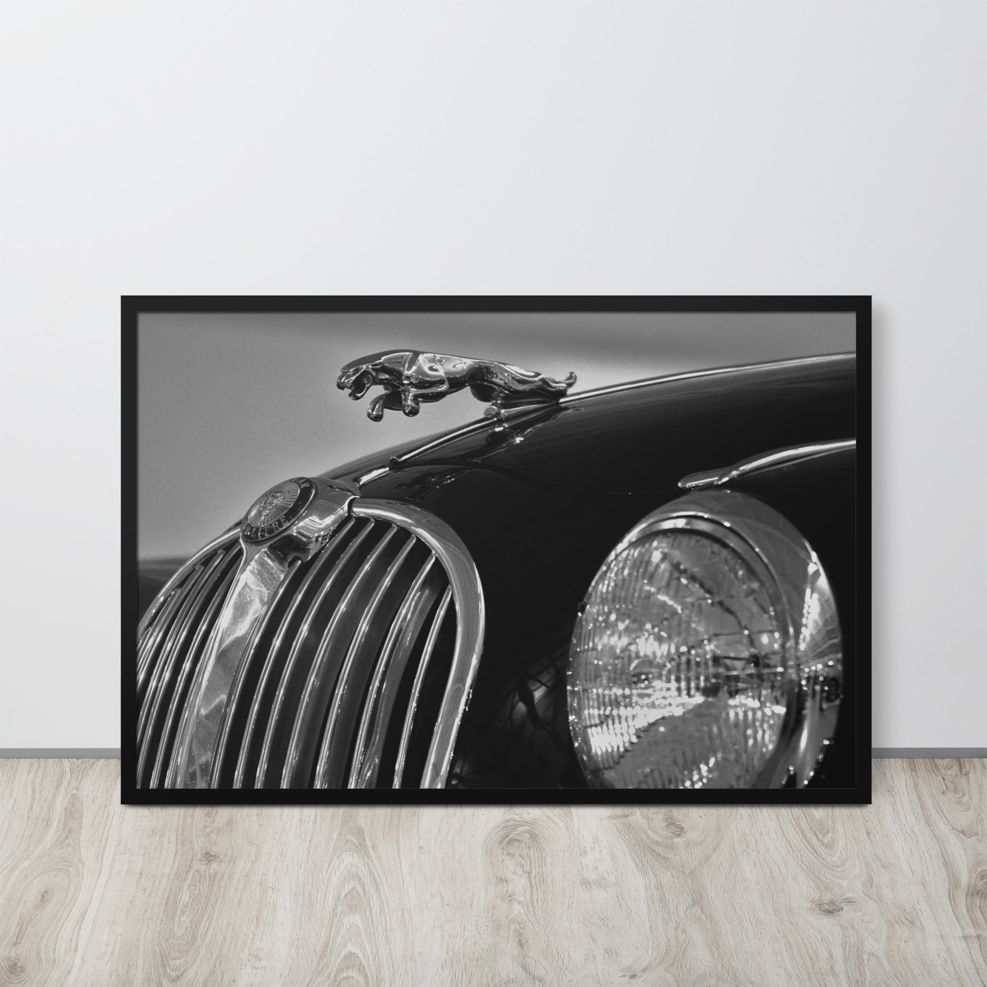 Car Collection Jaguar -- High Quality-- Framed on photo paper