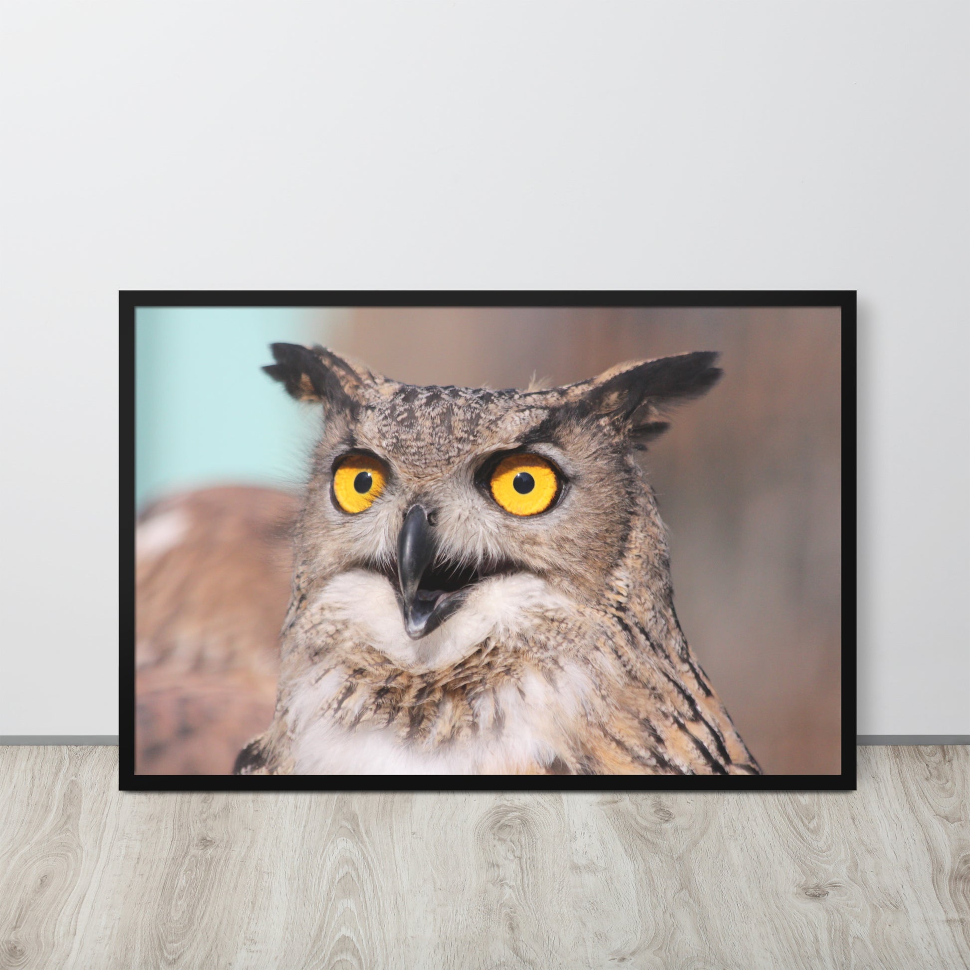Owl -- High Quallity -- Framed on photo paper