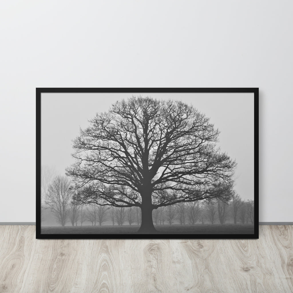 The Tree -- High Quality -- Framed on photo paper