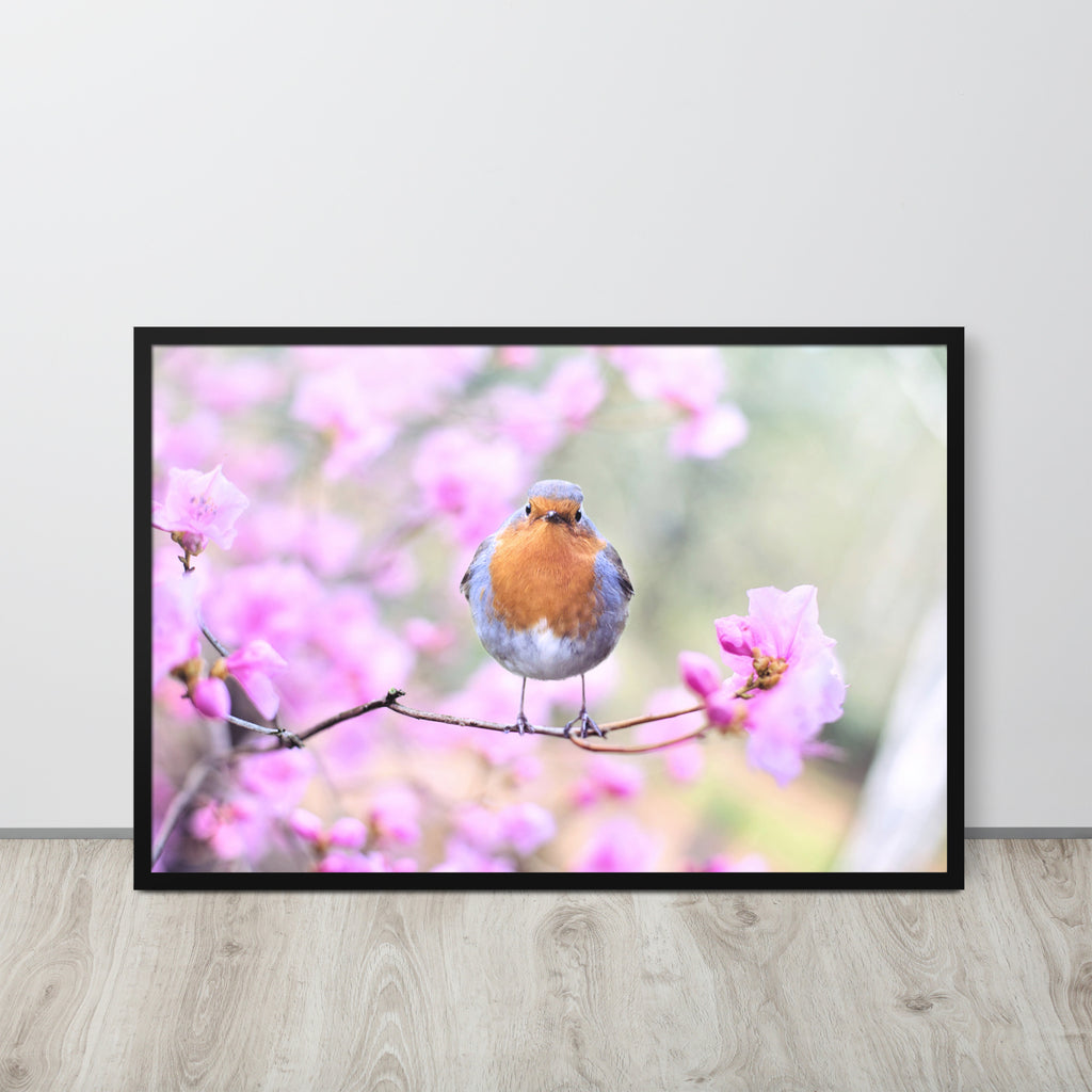 Birdie -- High Quality -- Framed on photo paper