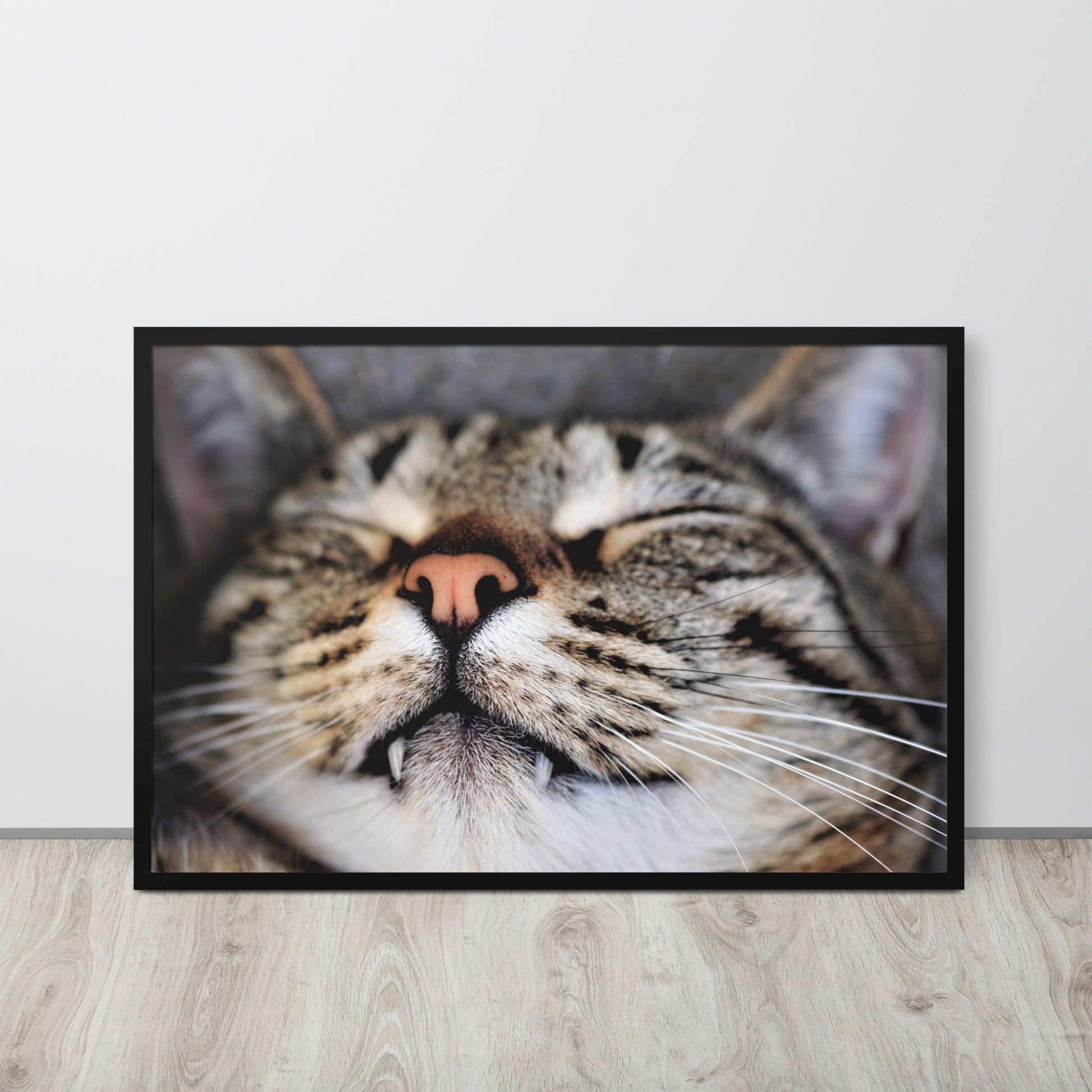 Sleeping Cat -- High Quality -- Framed on photo paper