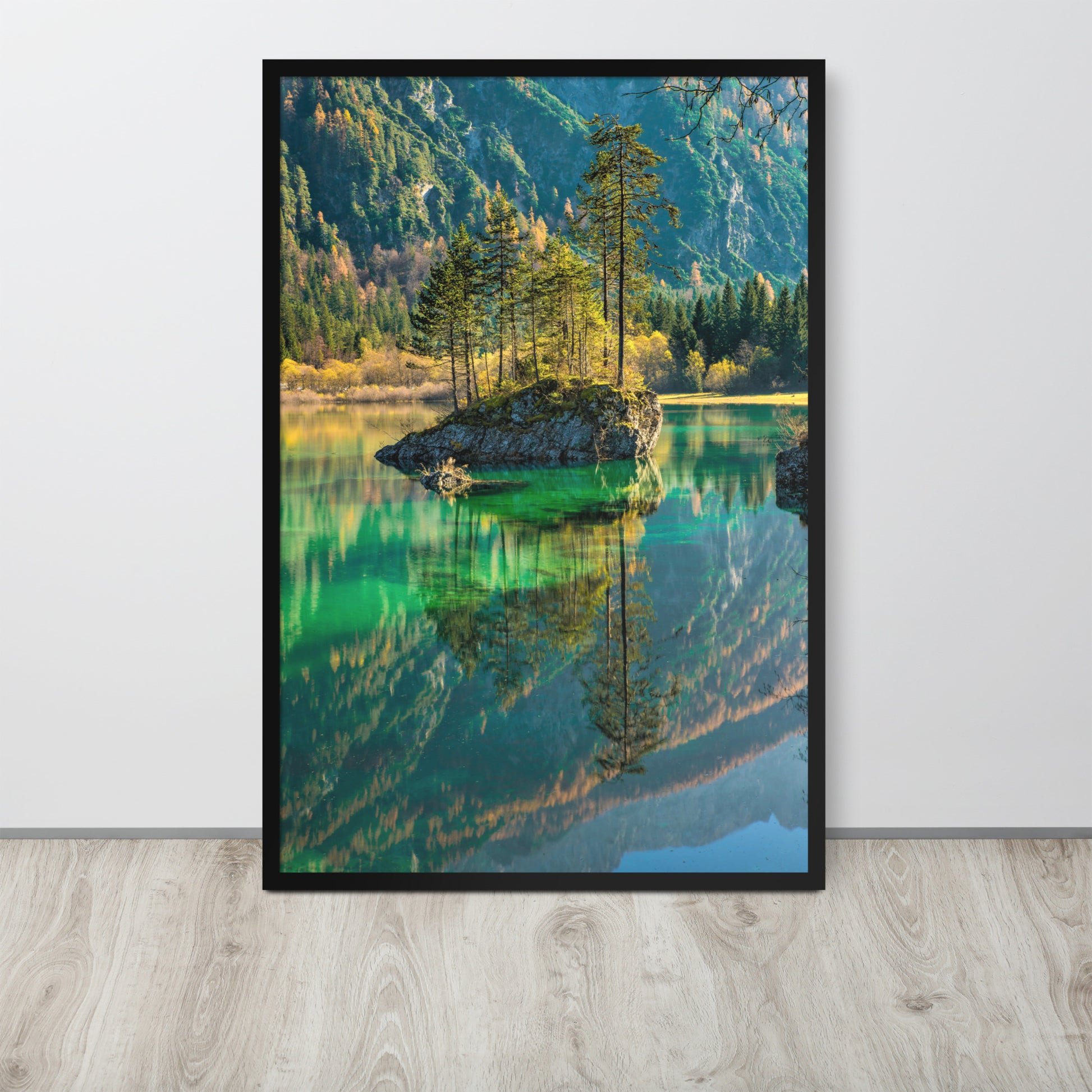 Nature -- High Quality -- Framed on photo paper