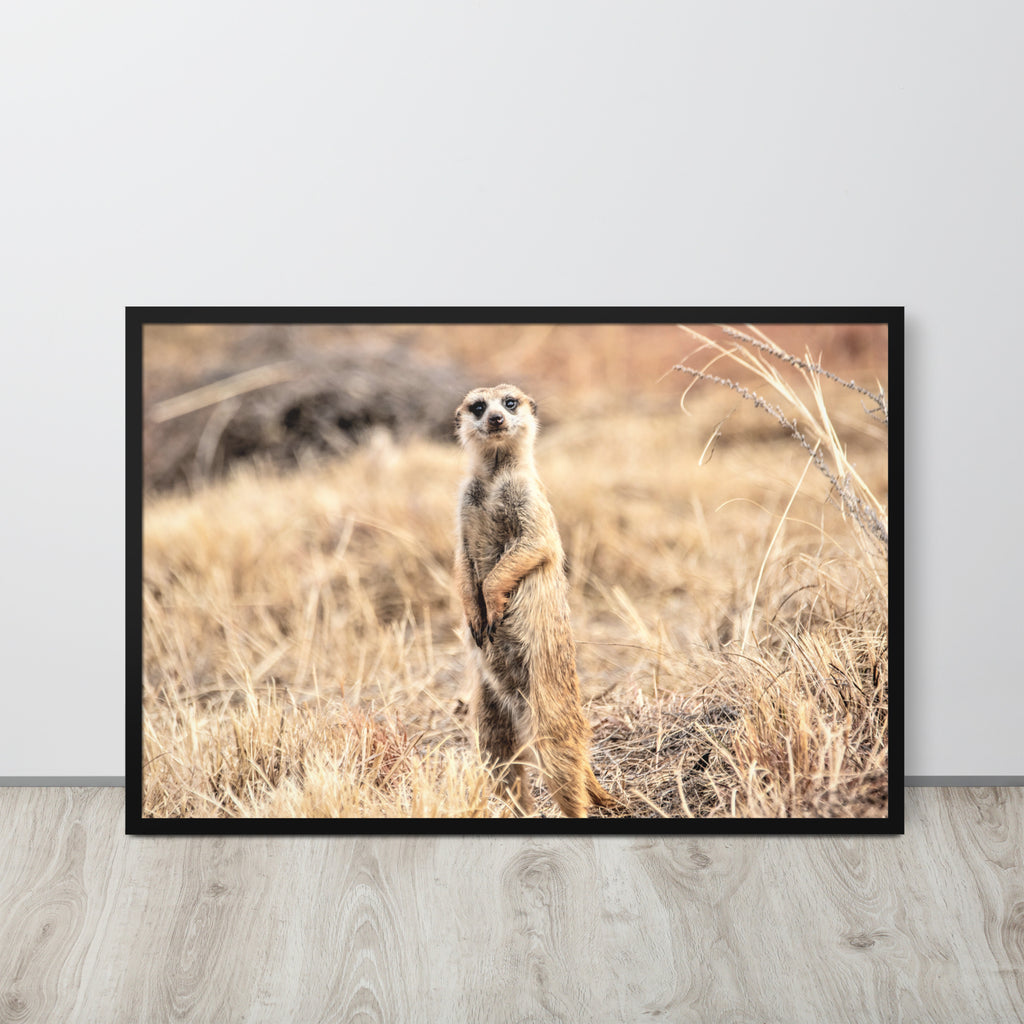 -- High Quality -- Framed on photo paper