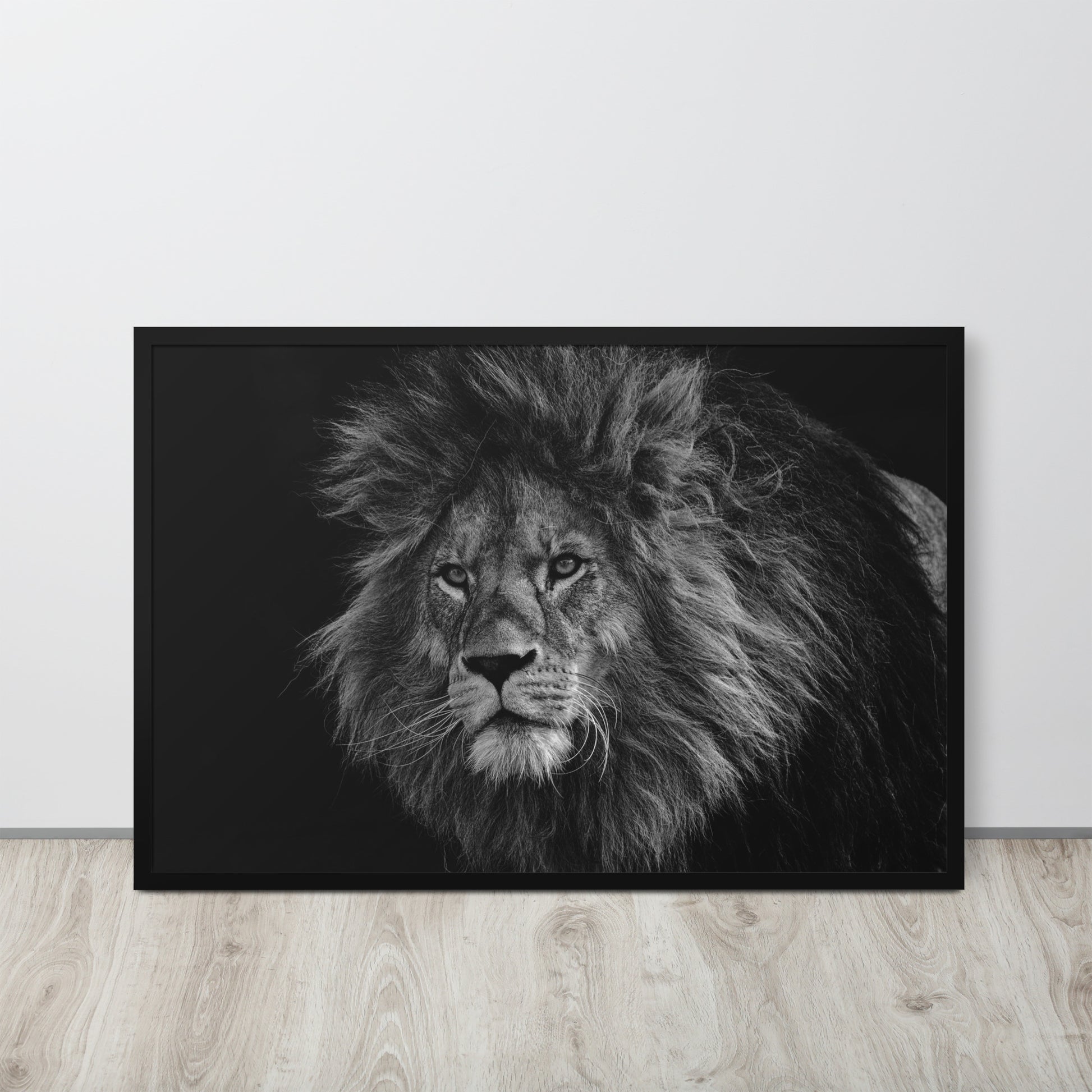 Lion -- High Quality -- Framed on photo paper