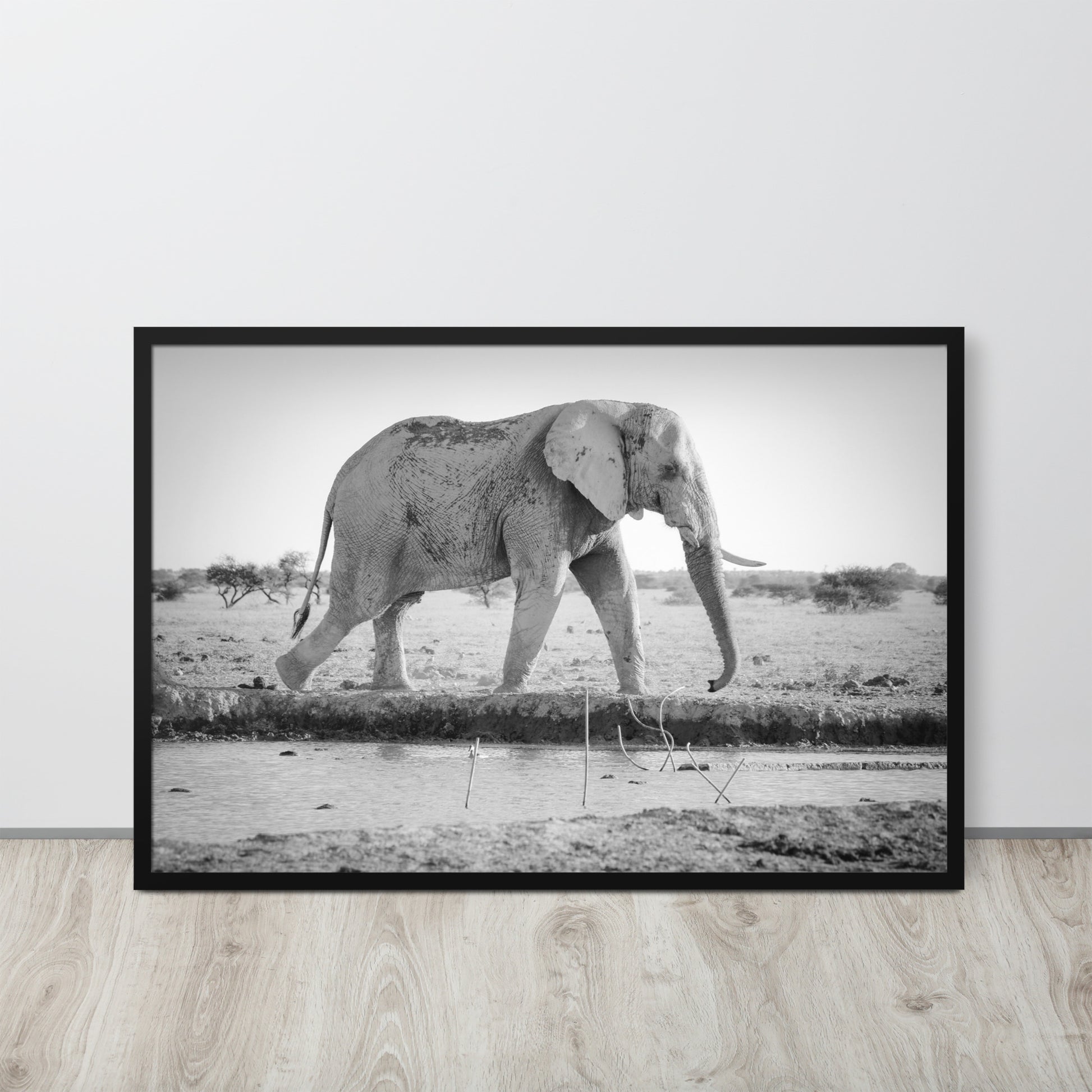 Elephant -- High Quality -- Framed photo paper