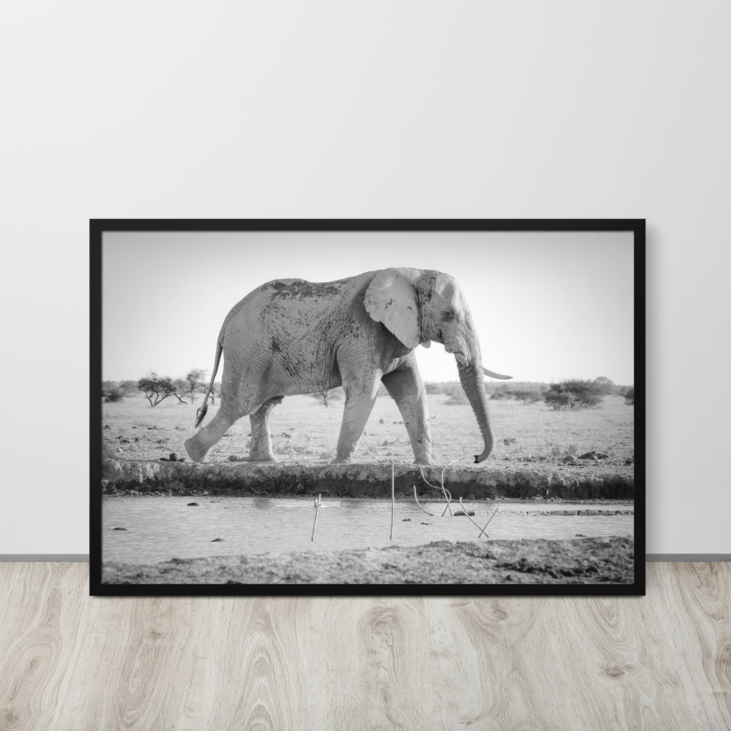 Elephant -- High Quality -- Framed photo paper