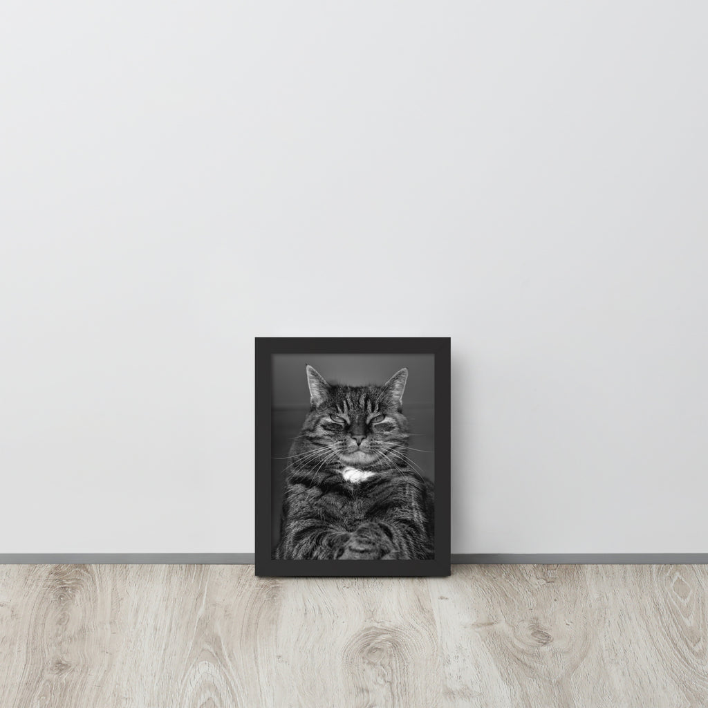 The Cat -- High Quality -- Framed on photo paper