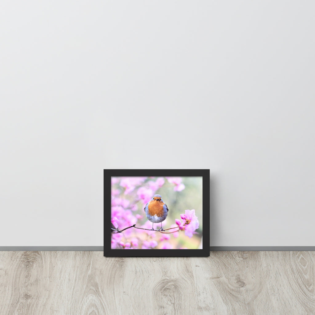 Birdie -- High Quality -- Framed on photo paper