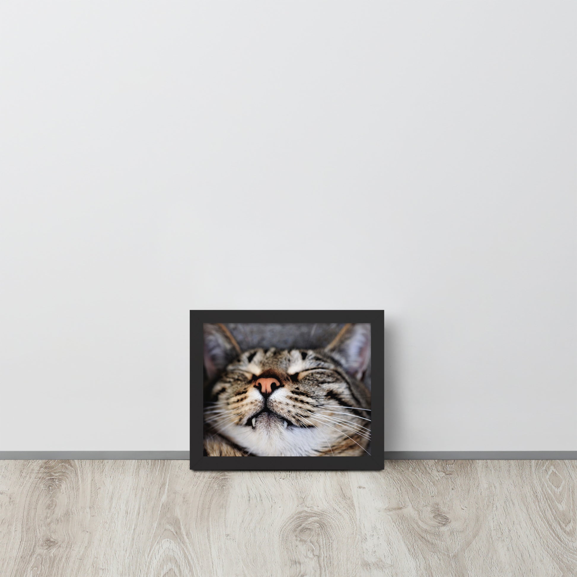 Sleeping Cat -- High Quality -- Framed on photo paper