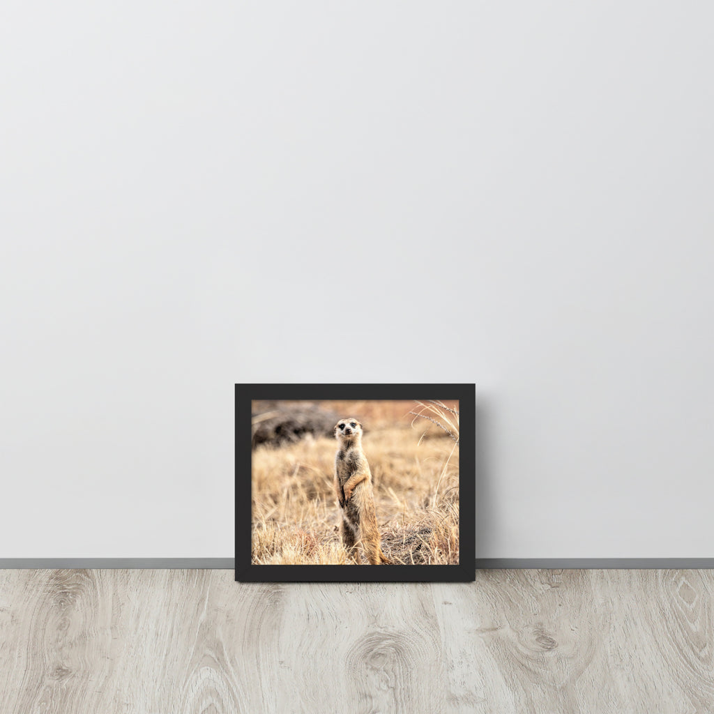 -- High Quality -- Framed on photo paper