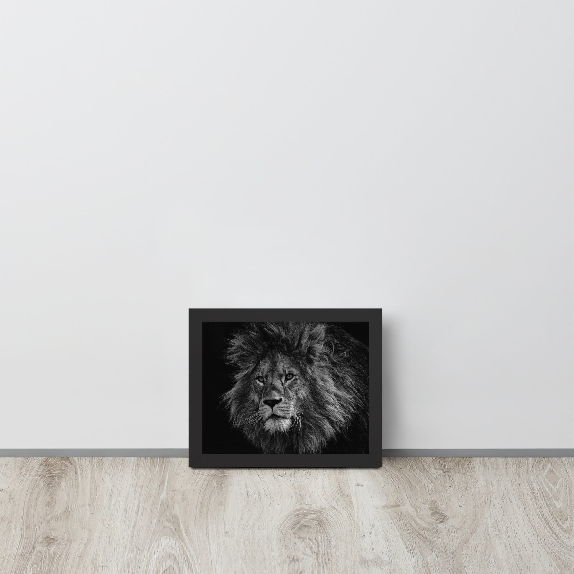Lion -- High Quality -- Framed on photo paper