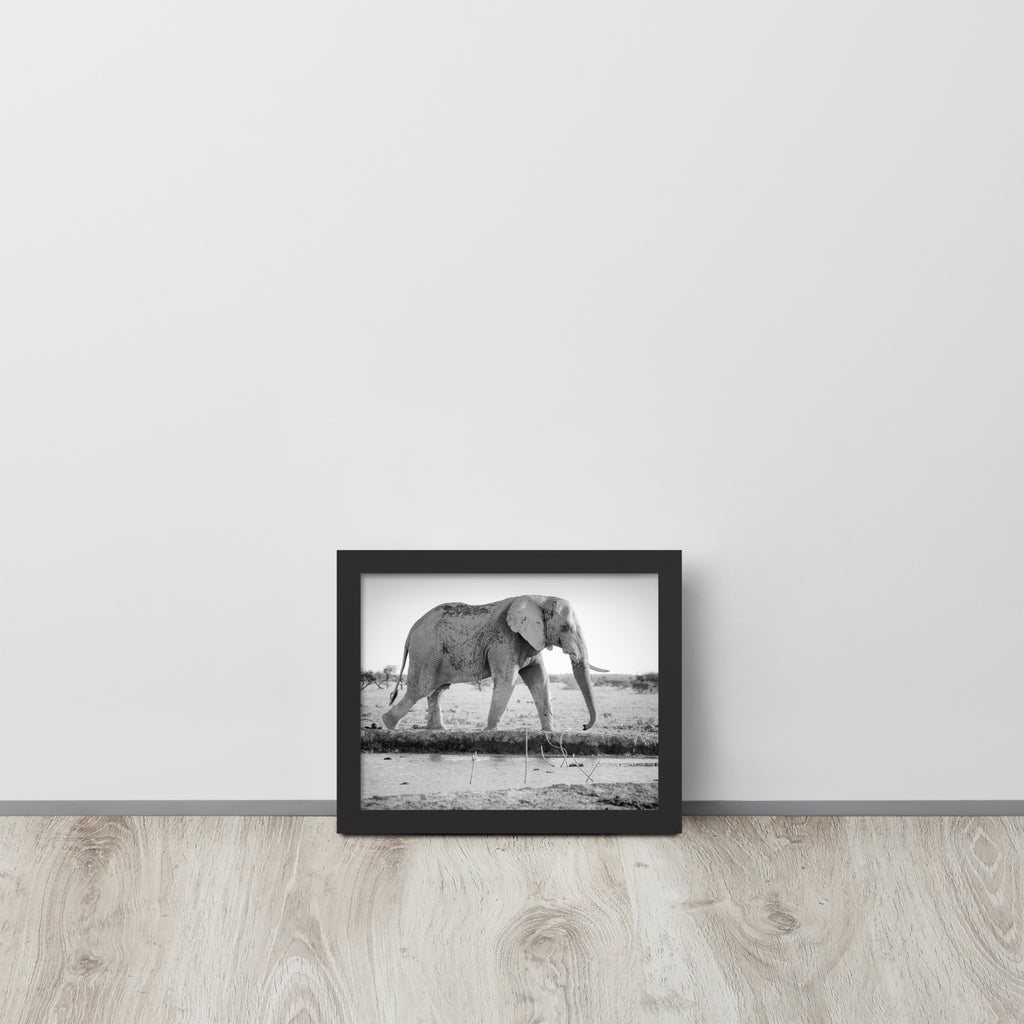 Elephant -- High Quality -- Framed photo paper