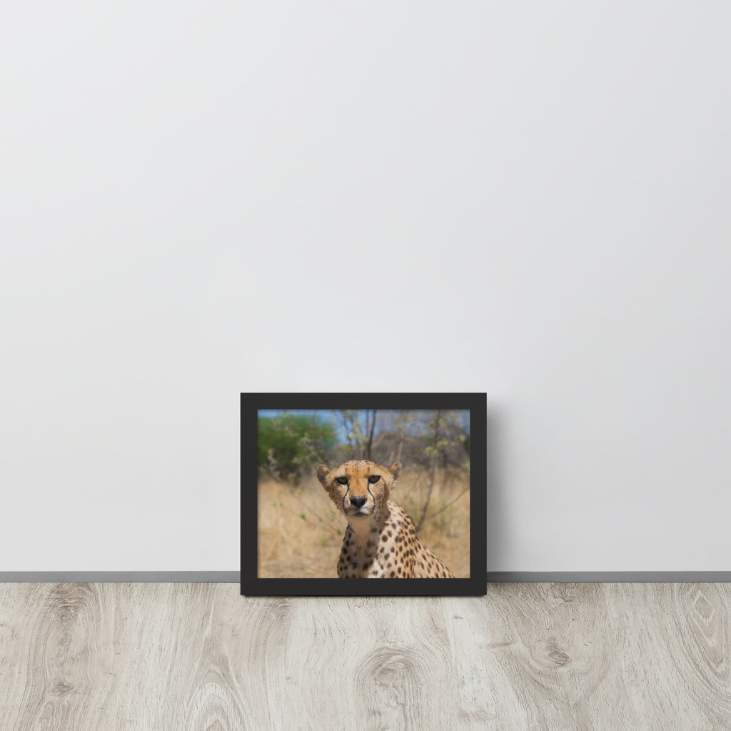Leopard -- High Quality -- Framed on photo paper