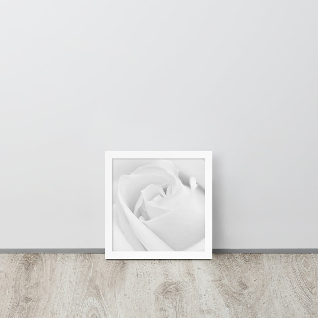 The Rose -- High Quality -- Framed on photo paper