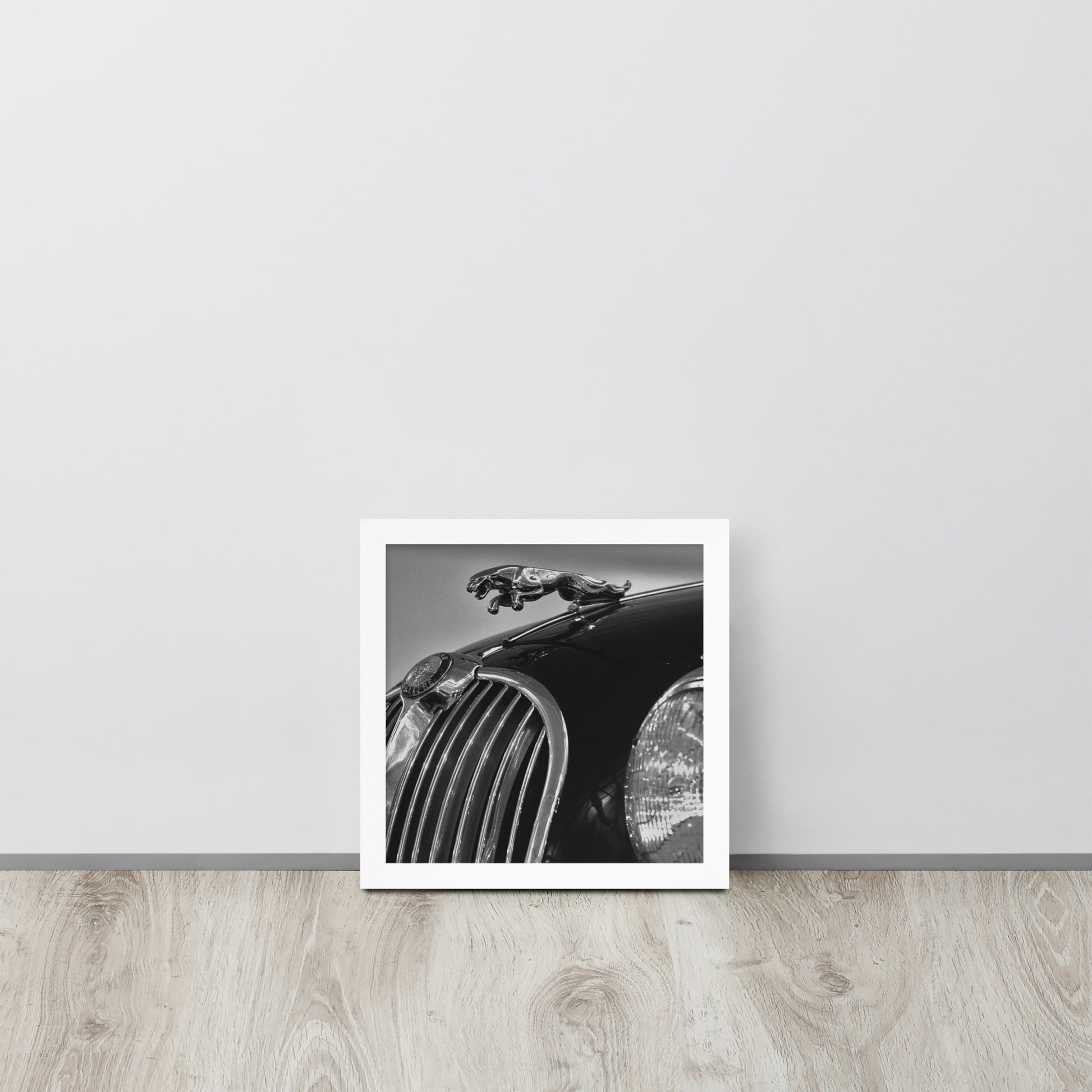 Car Collection Jaguar -- High Quality-- Framed on photo paper