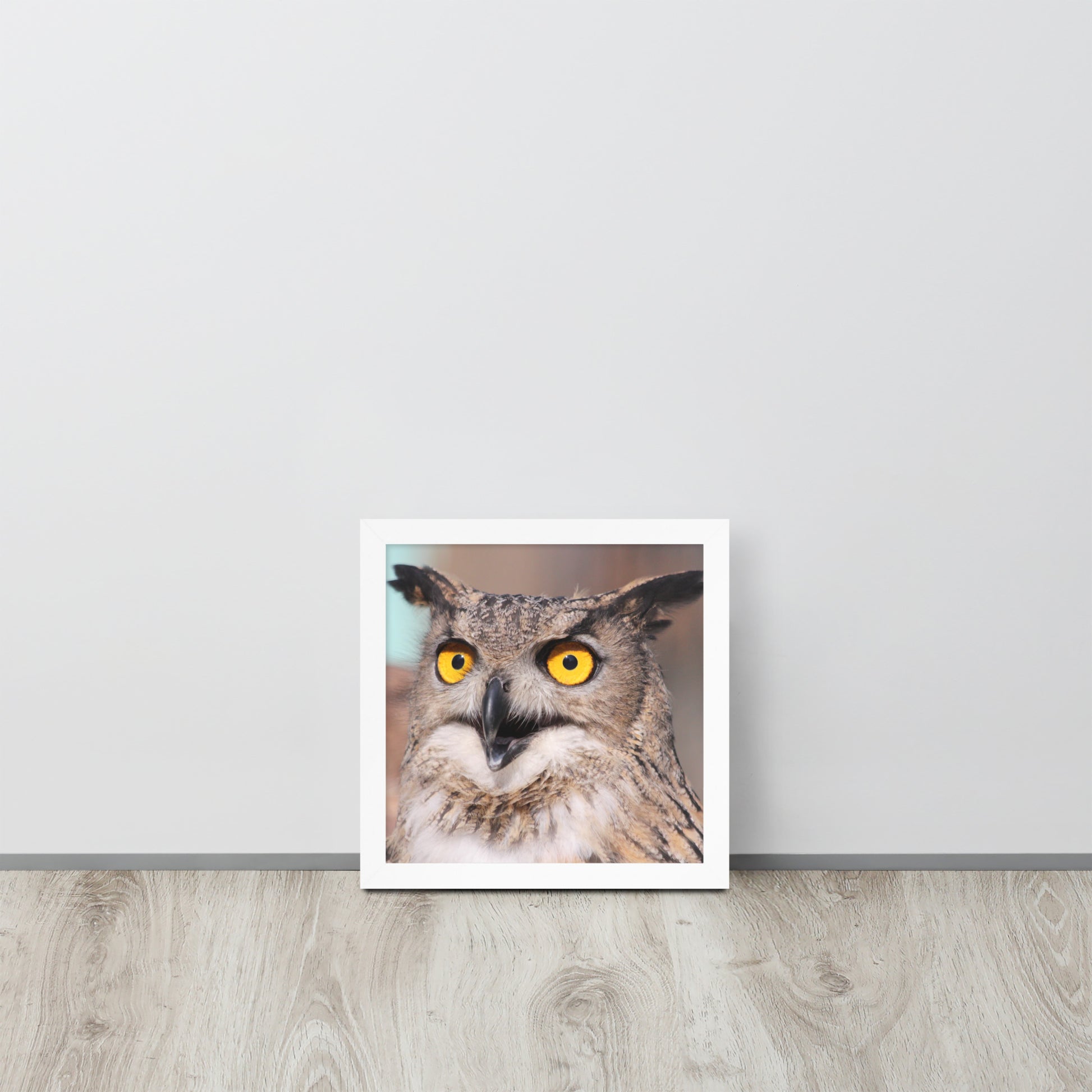 Owl -- High Quallity -- Framed on photo paper