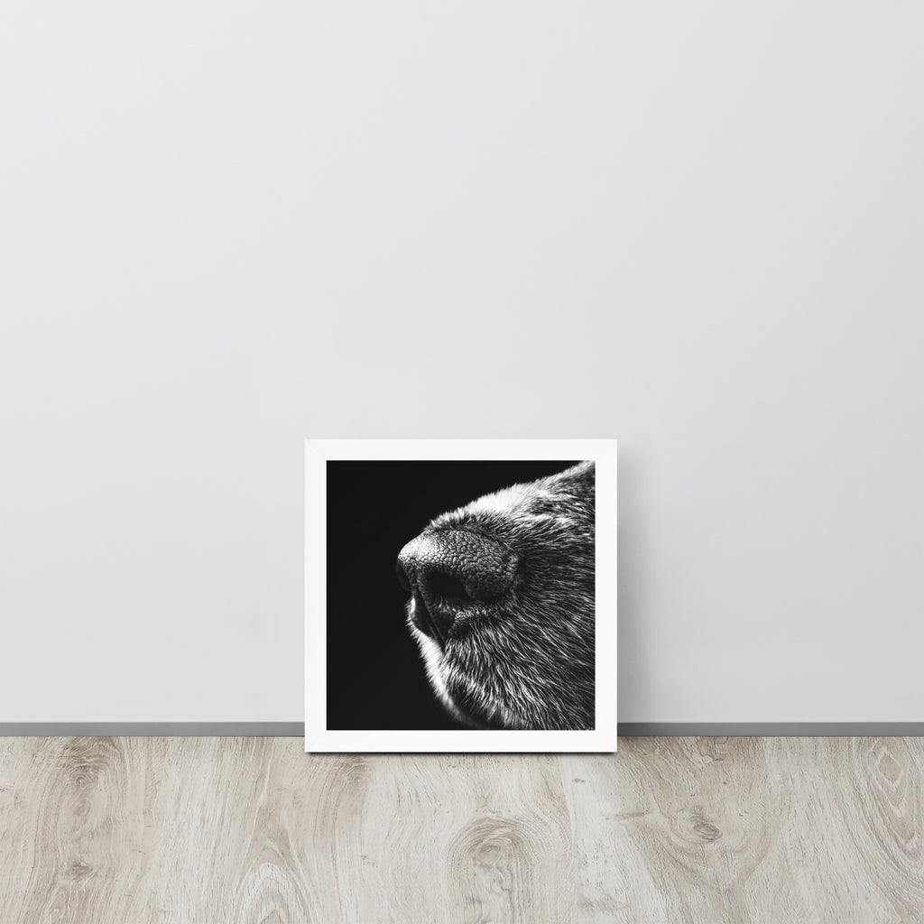 The Nose -- High Quality -- Framed on photo paper