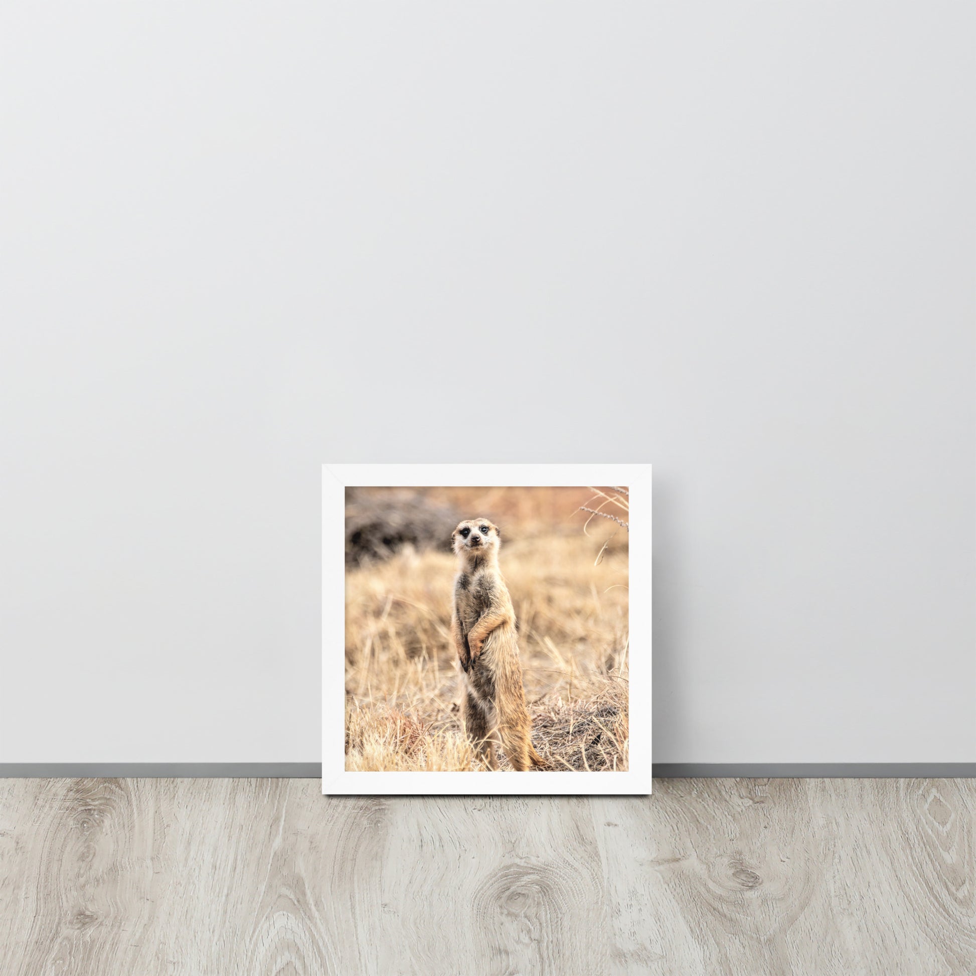 -- High Quality -- Framed on photo paper