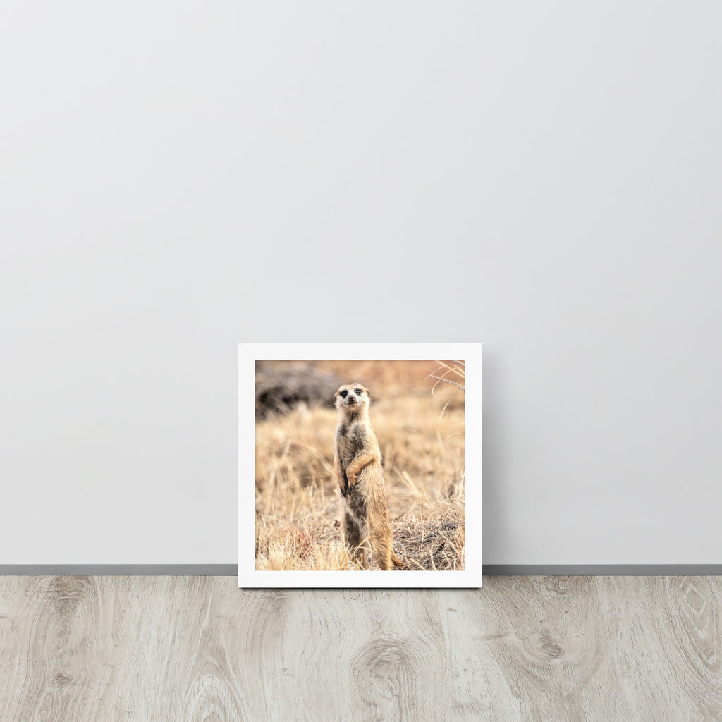 -- High Quality -- Framed on photo paper