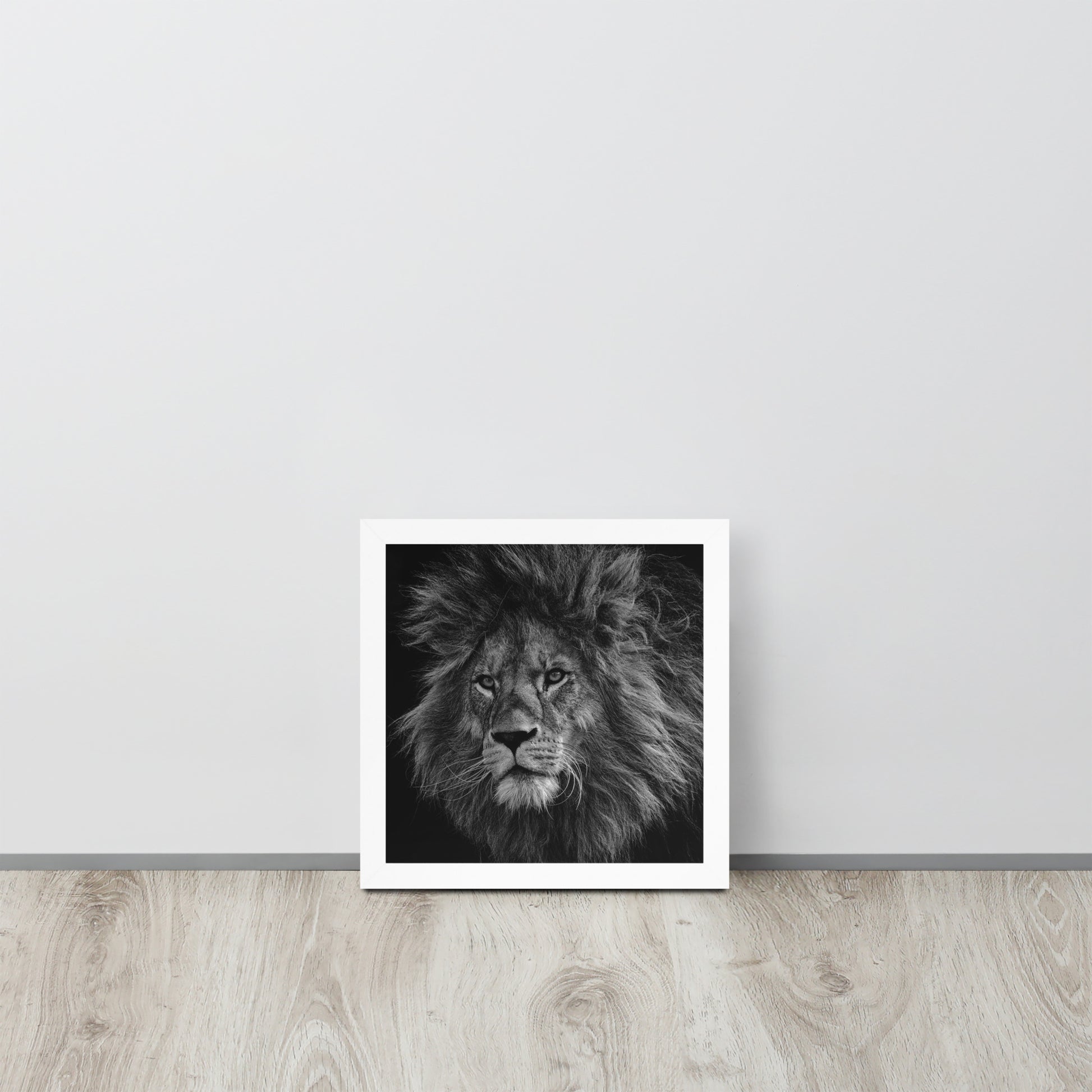 Lion -- High Quality -- Framed on photo paper