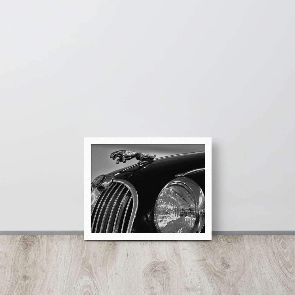 Car Collection Jaguar -- High Quality-- Framed on photo paper