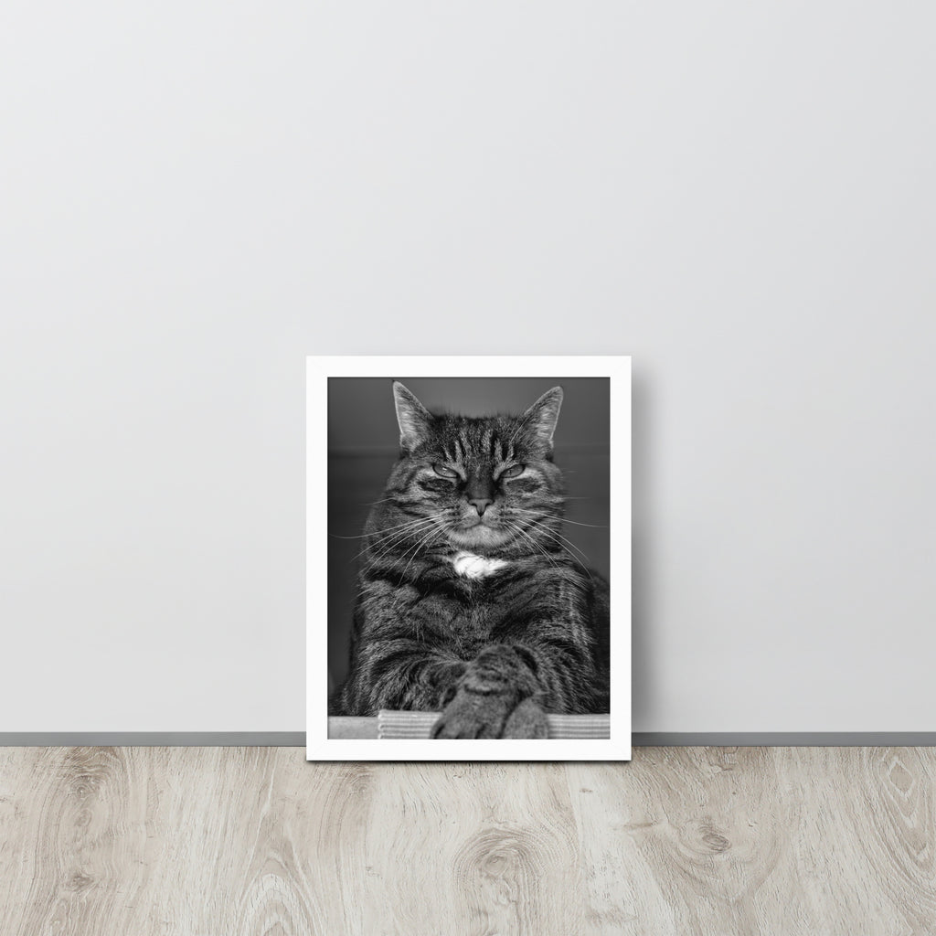 The Cat -- High Quality -- Framed on photo paper