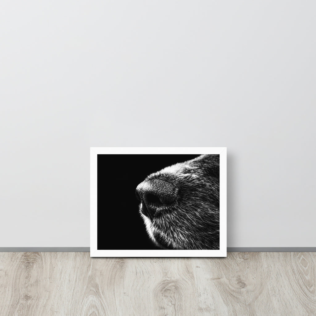 The Nose -- High Quality -- Framed on photo paper