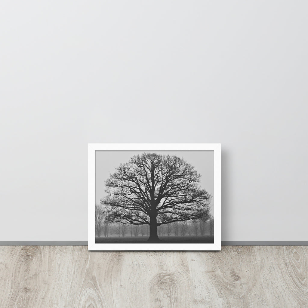The Tree -- High Quality -- Framed on photo paper