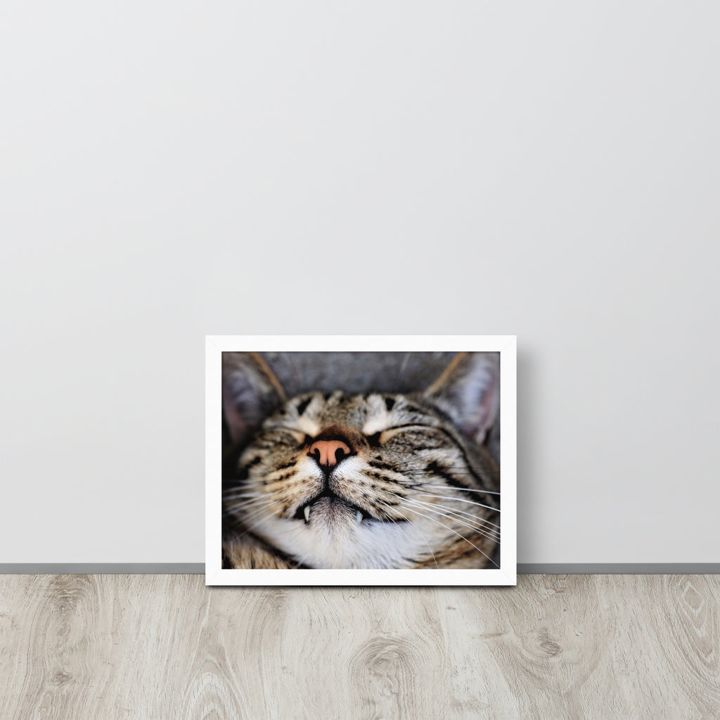 Sleeping Cat -- High Quality -- Framed on photo paper