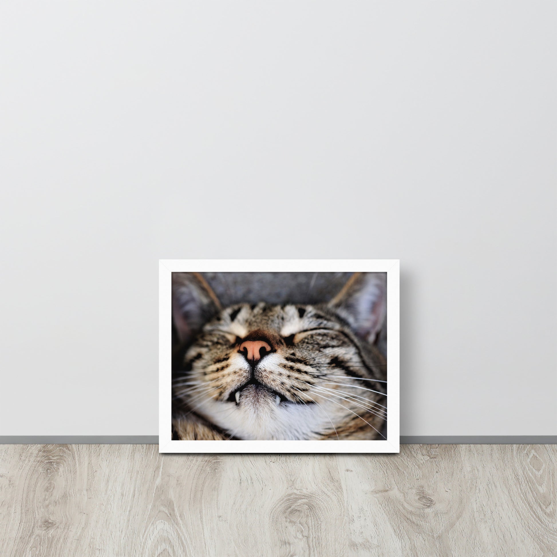 Sleeping Cat -- High Quality -- Framed on photo paper