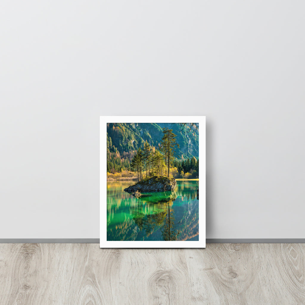 Nature -- High Quality -- Framed on photo paper
