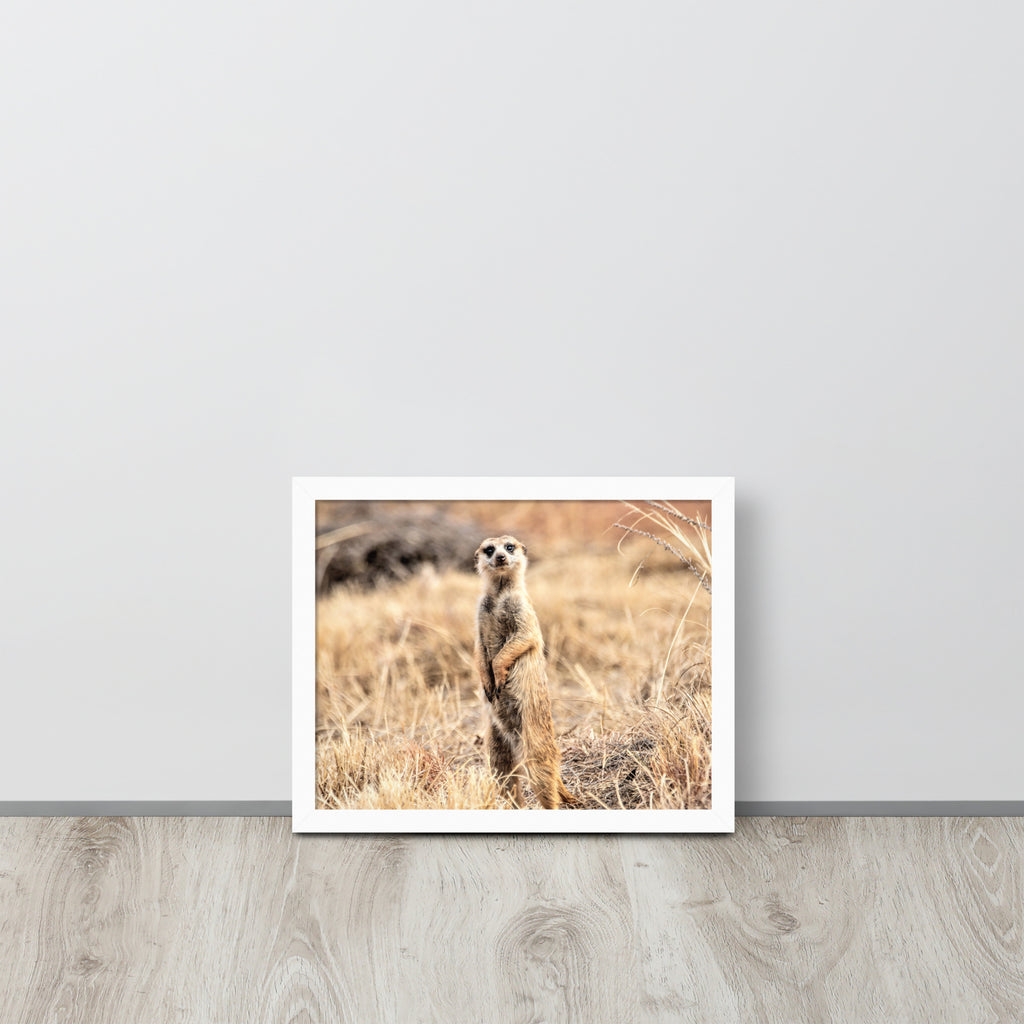 -- High Quality -- Framed on photo paper