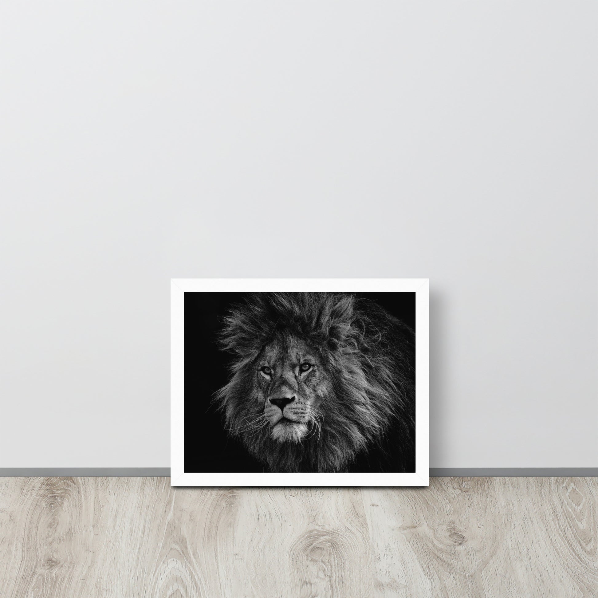 Lion -- High Quality -- Framed on photo paper