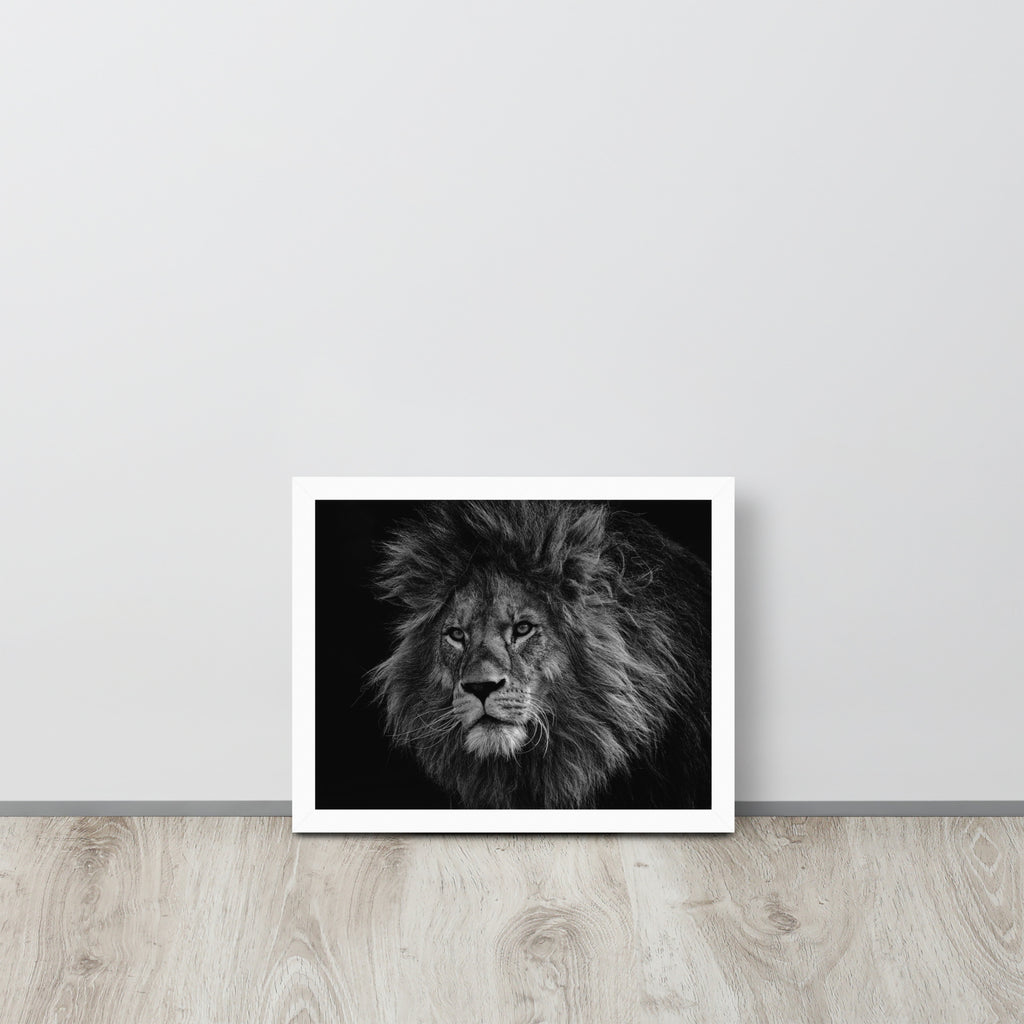 Lion -- High Quality -- Framed on photo paper