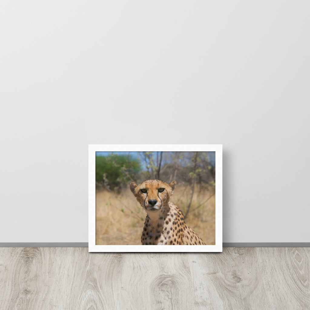 Leopard -- High Quality -- Framed on photo paper