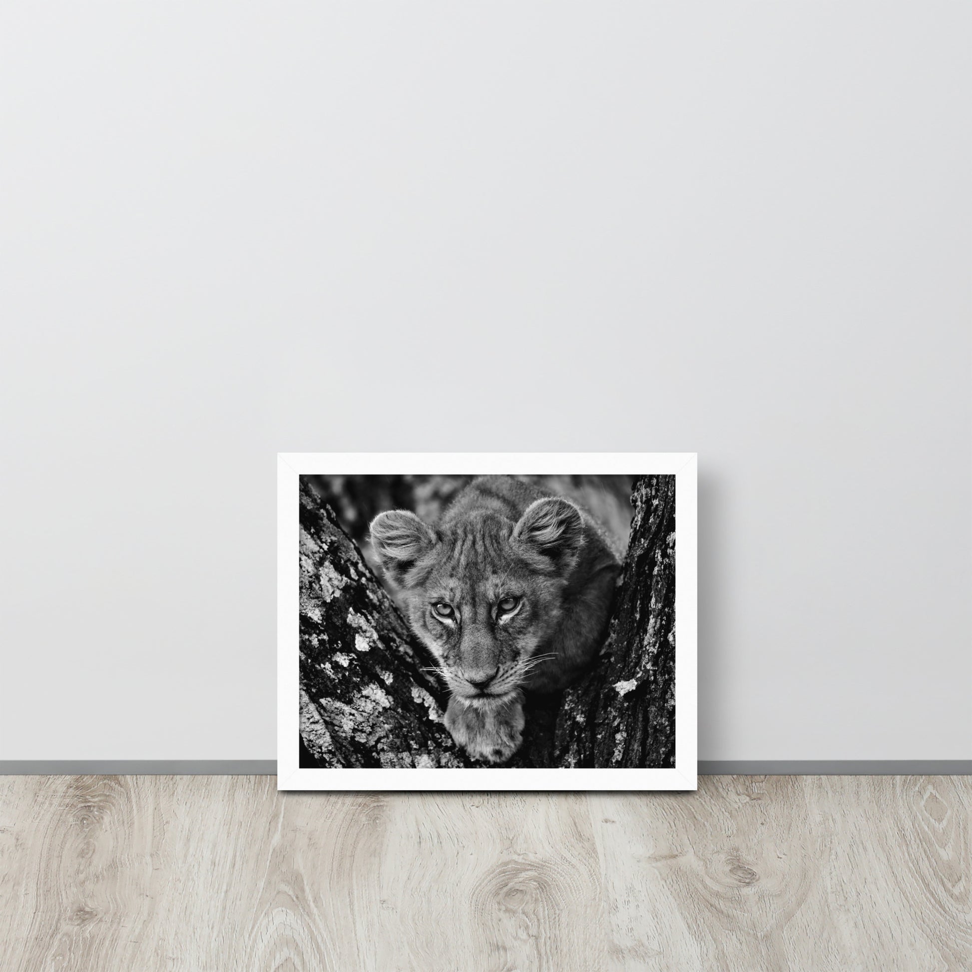 Lioness -- High Quality -- Framed on photo paper
