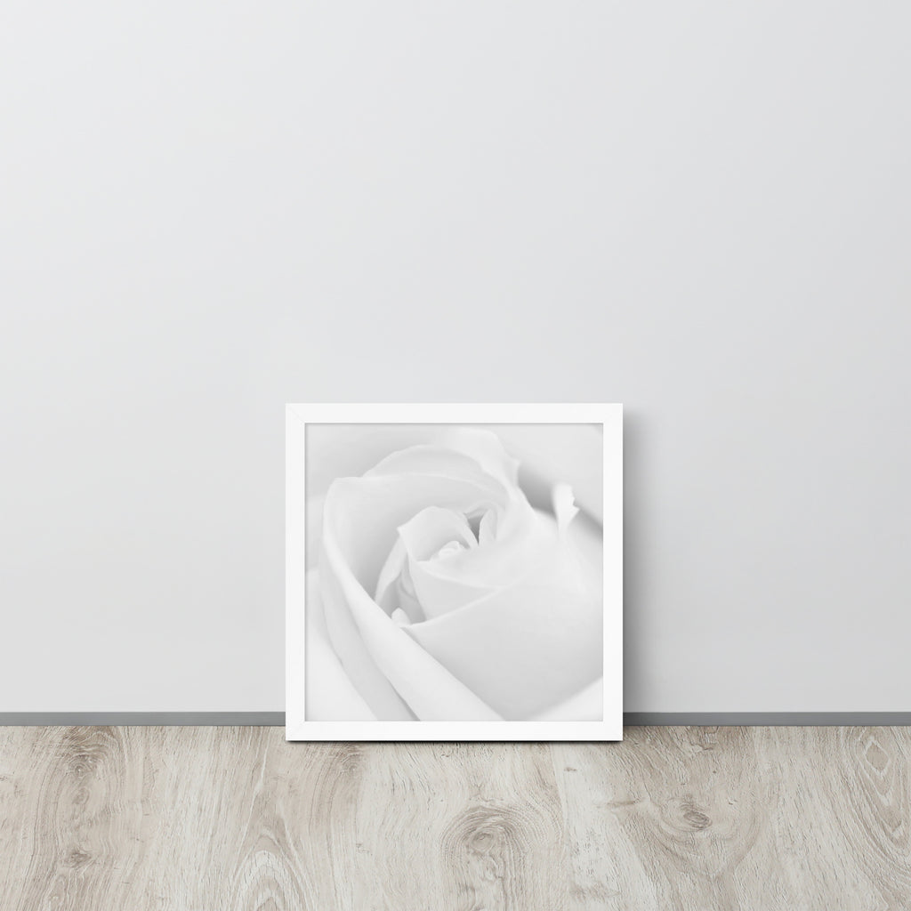 The Rose -- High Quality -- Framed on photo paper