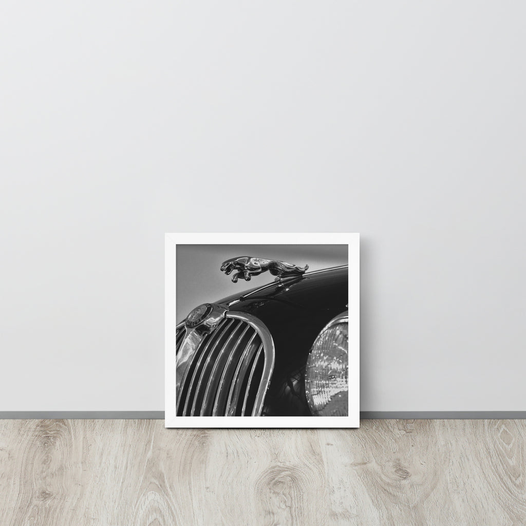 Car Collection Jaguar -- High Quality-- Framed on photo paper