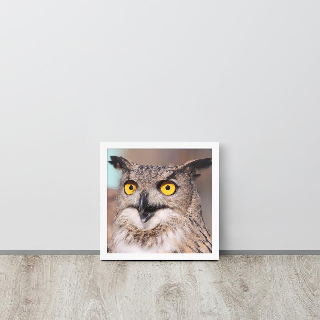 Owl -- High Quallity -- Framed on photo paper