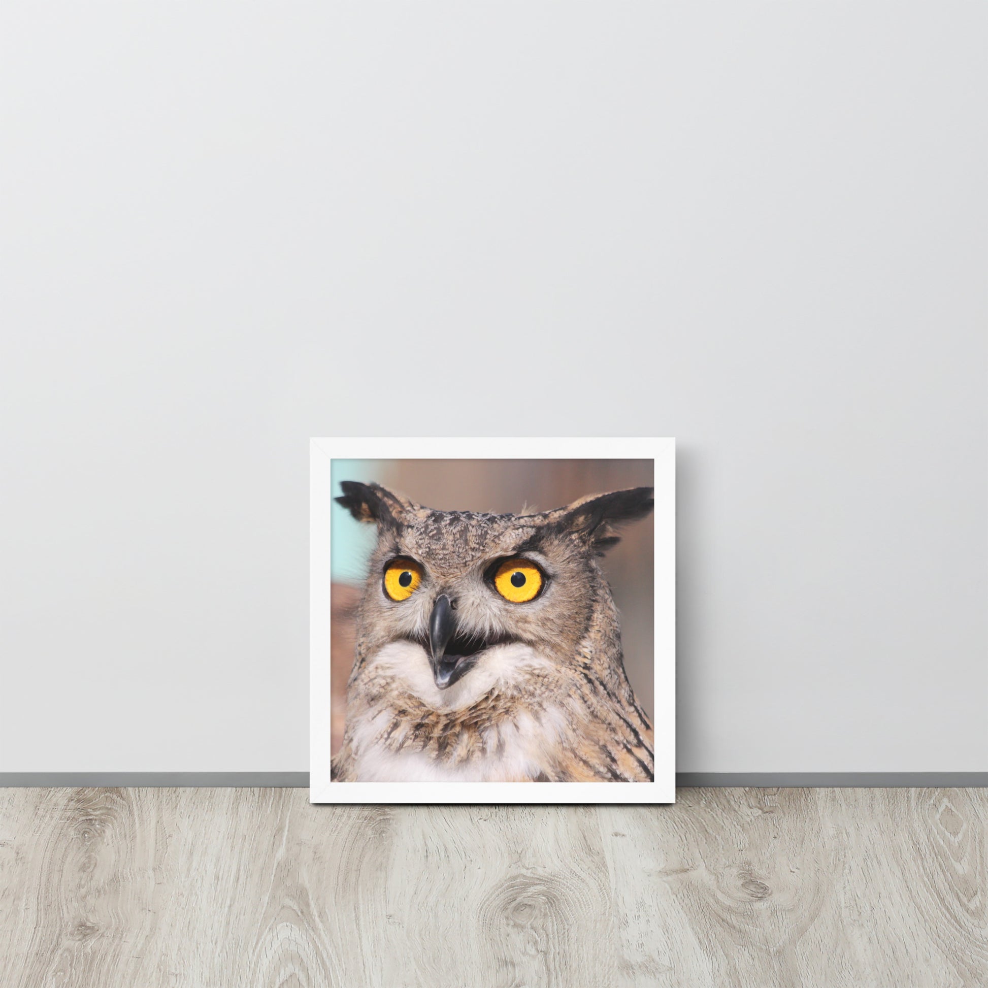 Owl -- High Quallity -- Framed on photo paper