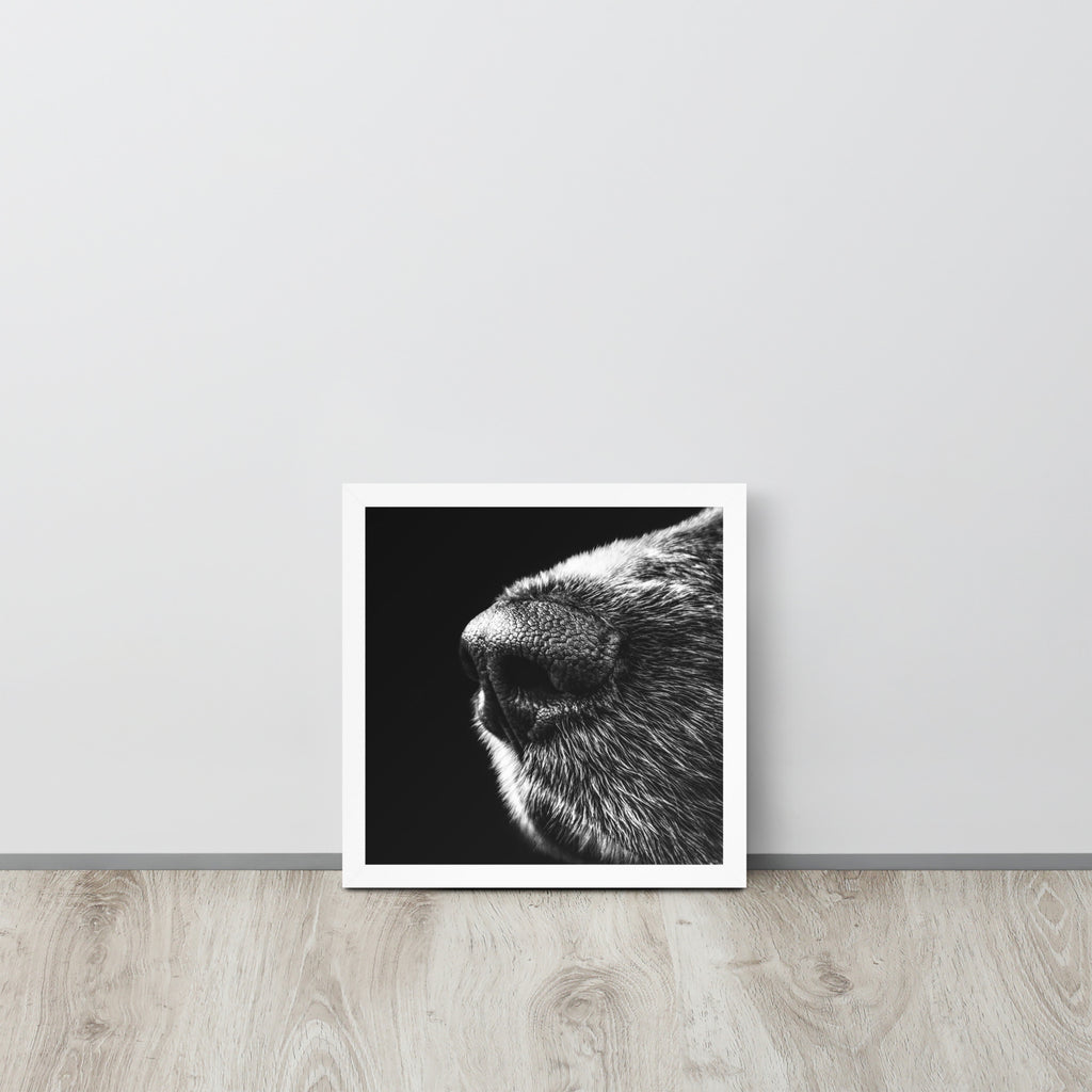 The Nose -- High Quality -- Framed on photo paper