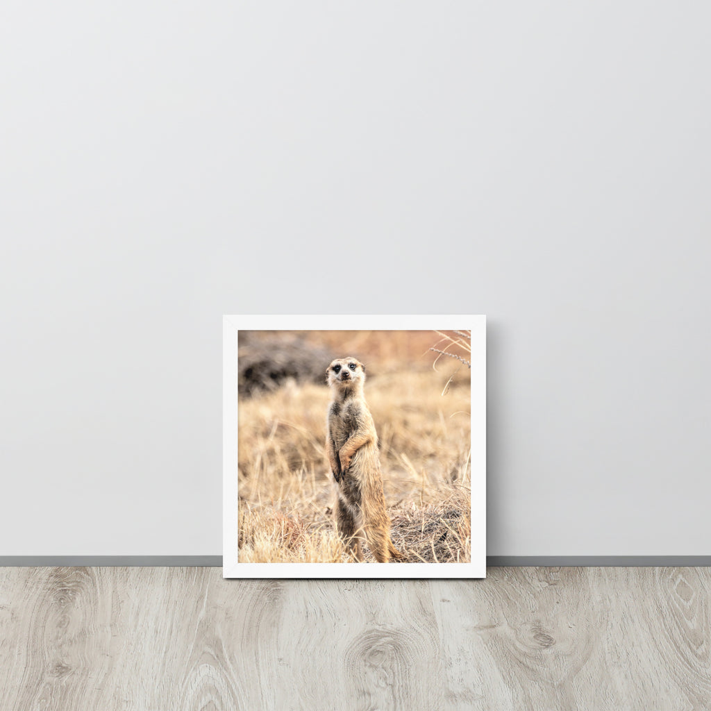 -- High Quality -- Framed on photo paper