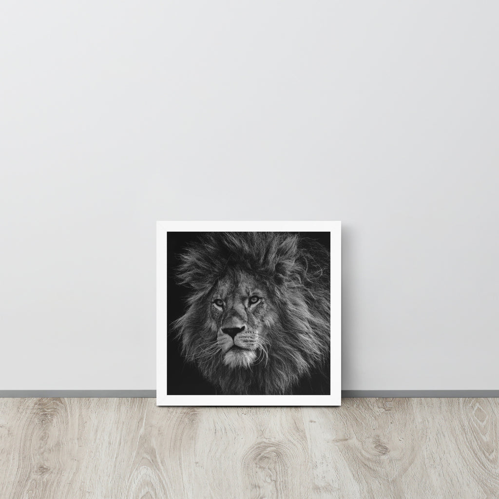 Lion -- High Quality -- Framed on photo paper