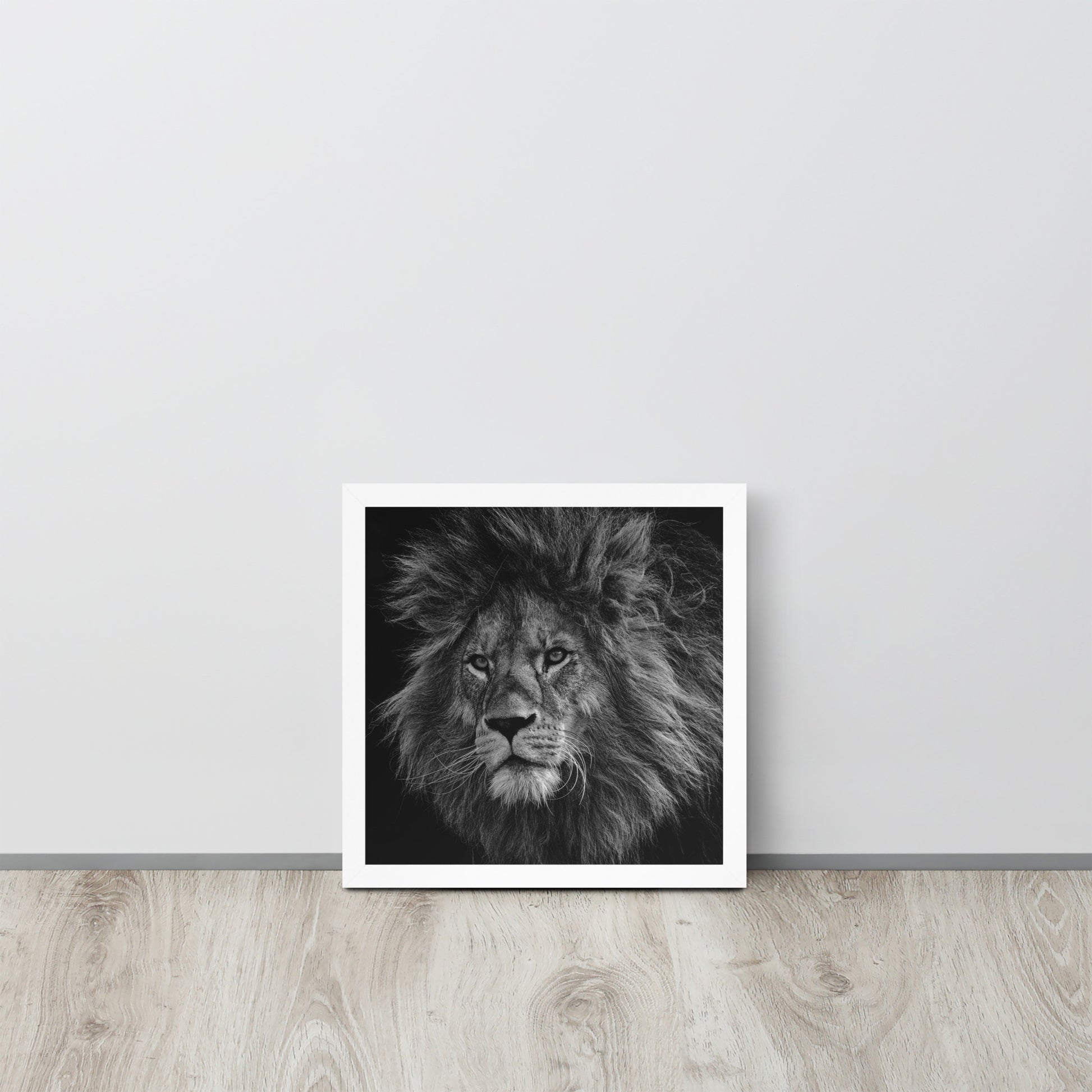 Lion -- High Quality -- Framed on photo paper