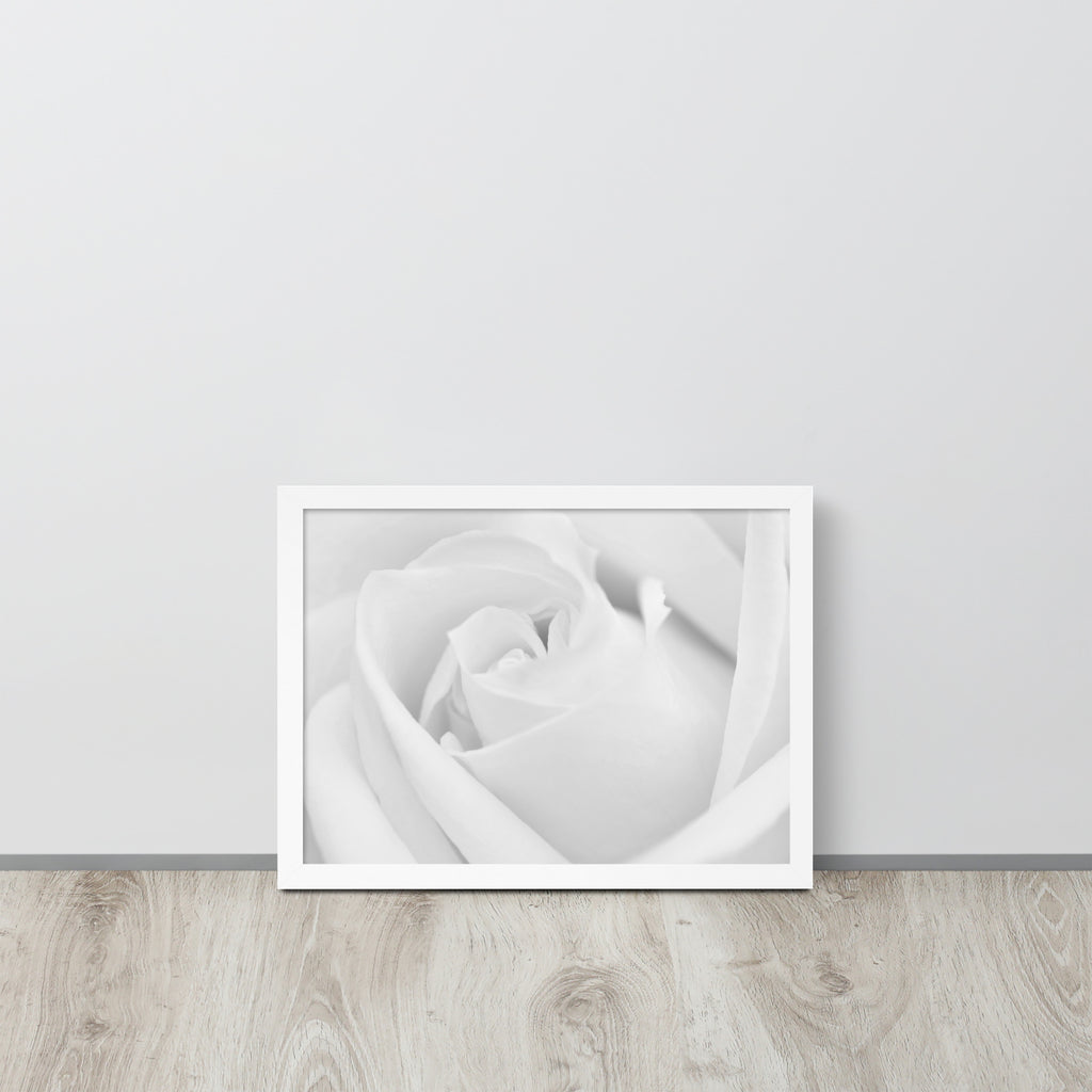 The Rose -- High Quality -- Framed on photo paper