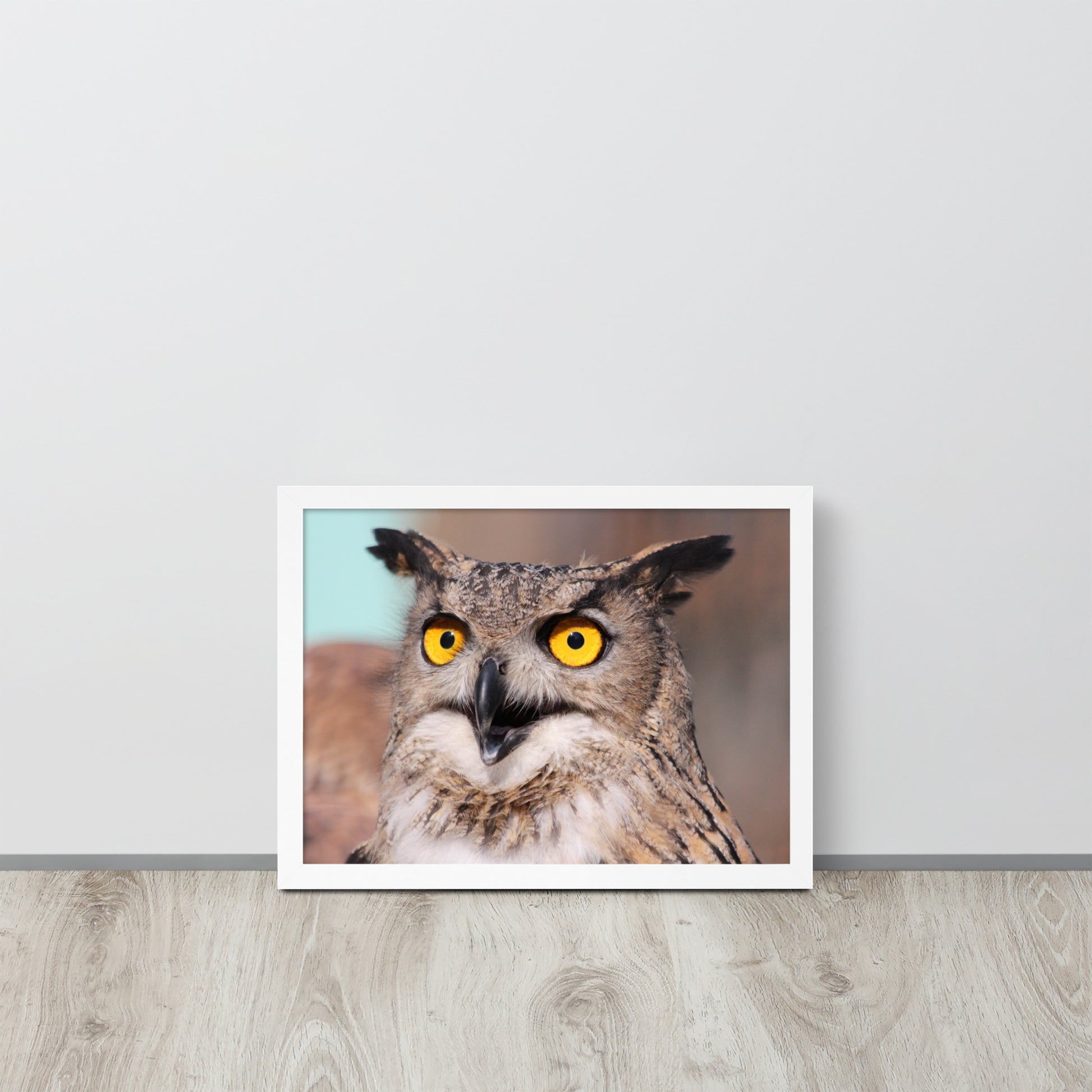 Owl -- High Quallity -- Framed on photo paper