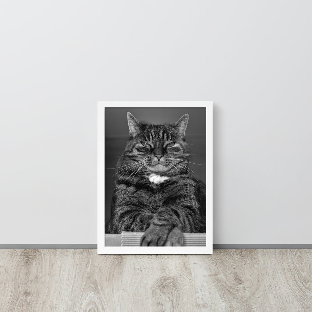 The Cat -- High Quality -- Framed on photo paper