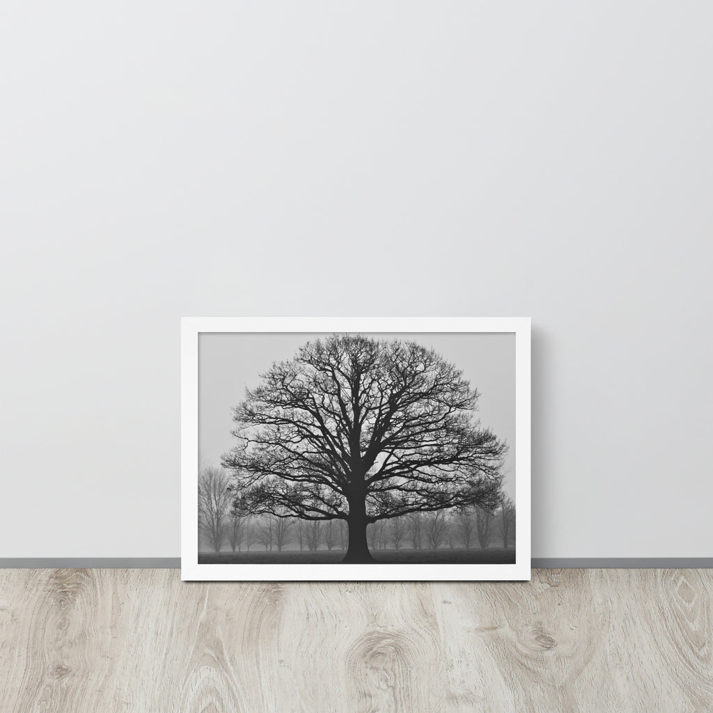 The Tree -- High Quality -- Framed on photo paper